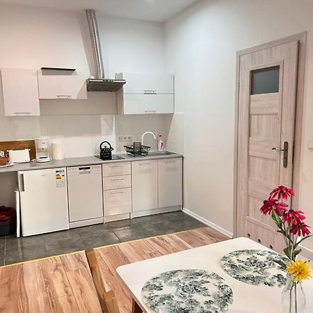 Apartament Lubicz 克拉科夫 外观 照片